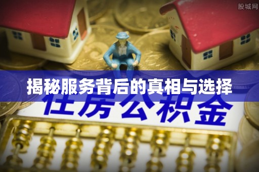 龙游揭秘服务背后的真相与选择