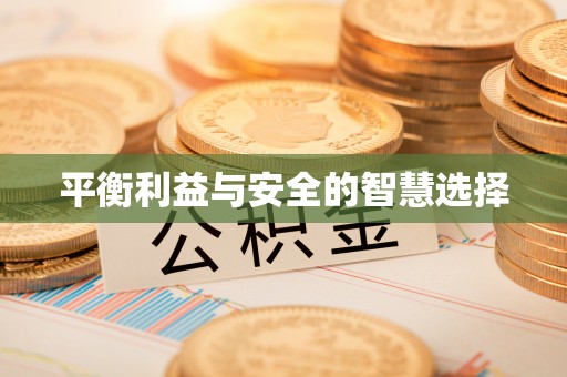 龙游平衡利益与安全的智慧选择