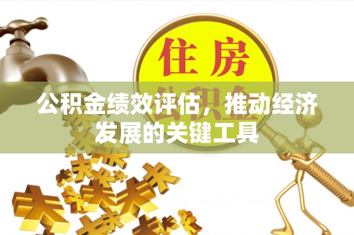 龙游公积金绩效评估，推动经济发展的关键工具