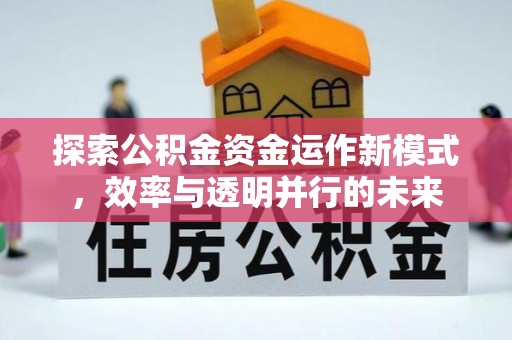 龙游探索公积金资金运作新模式，效率与透明并行的未来