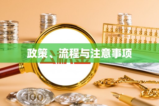 龙游政策、流程与注意事项