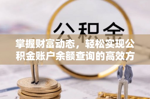 龙游掌握财富动态，轻松实现公积金账户余额查询的高效方法