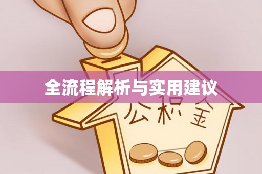 龙游全流程解析与实用建议