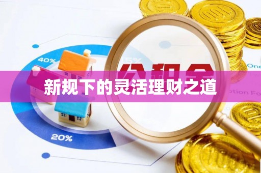 龙游新规下的灵活理财之道