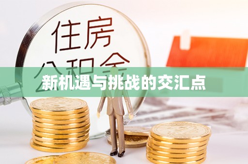 龙游新机遇与挑战的交汇点