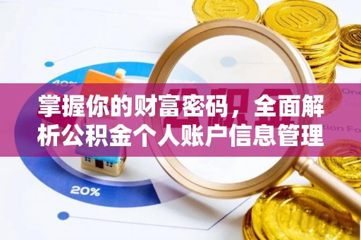 龙游掌握你的财富密码，全面解析公积金个人账户信息管理与优化