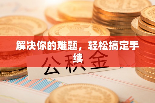 龙游解决你的难题，轻松搞定手续