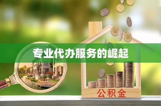 龙游专业代办服务的崛起