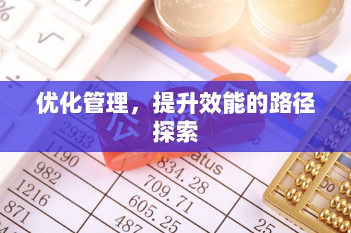 龙游优化管理，提升效能的路径探索