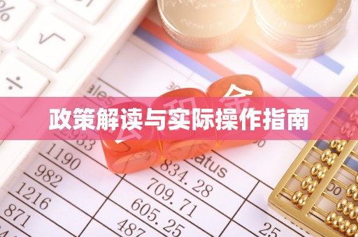 龙游政策解读与实际操作指南