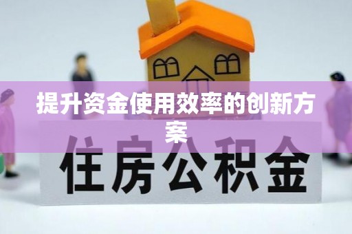 龙游提升资金使用效率的创新方案