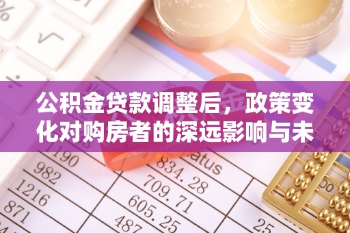龙游公积金贷款调整后，政策变化对购房者的深远影响与未来趋势分析