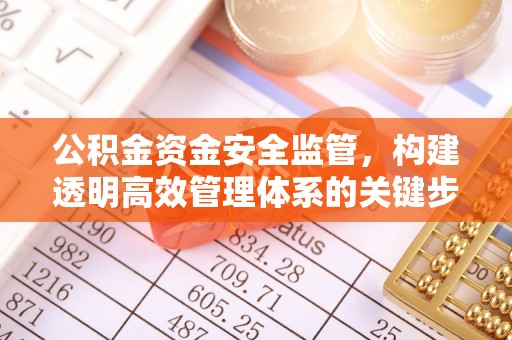 龙游公积金资金安全监管，构建透明高效管理体系的关键步骤