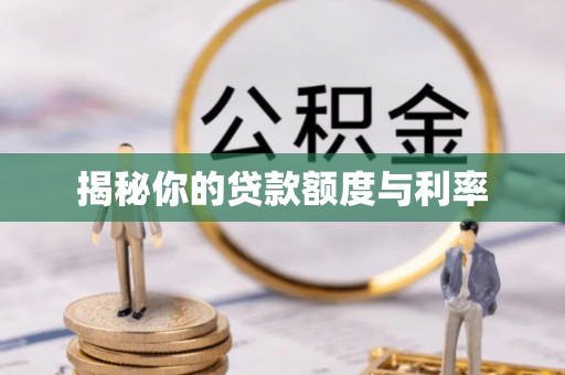 龙游揭秘你的贷款额度与利率