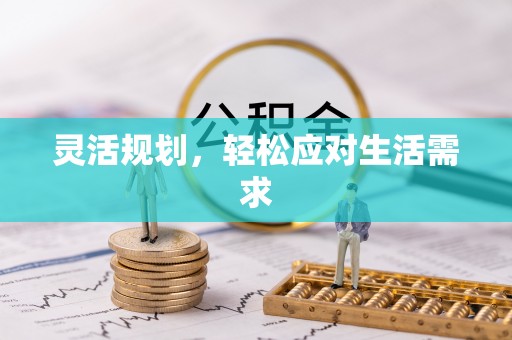 龙游灵活规划，轻松应对生活需求