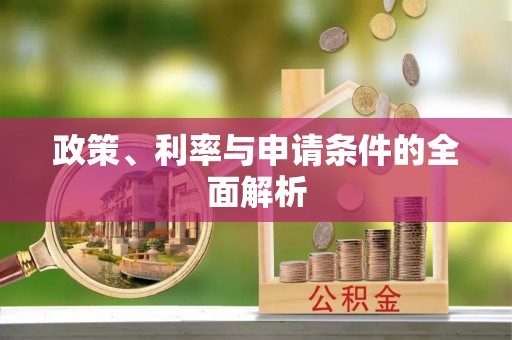 龙游政策、利率与申请条件的全面解析