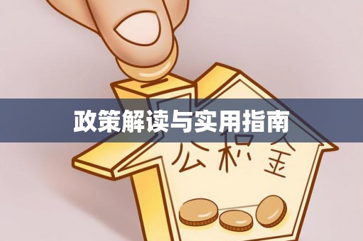龙游政策解读与实用指南
