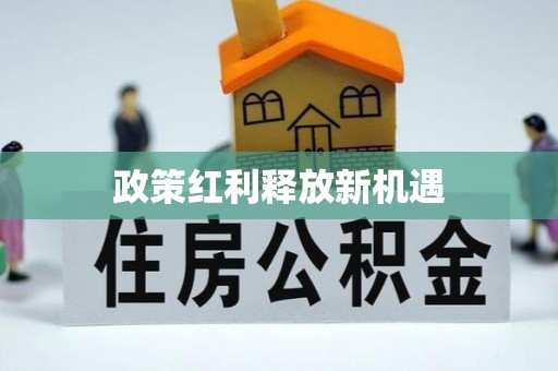 龙游政策红利释放新机遇