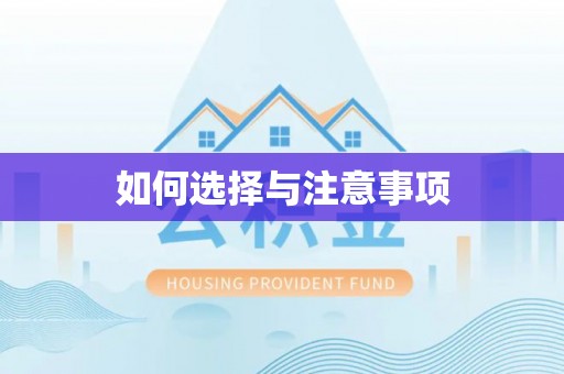 龙游如何选择与注意事项