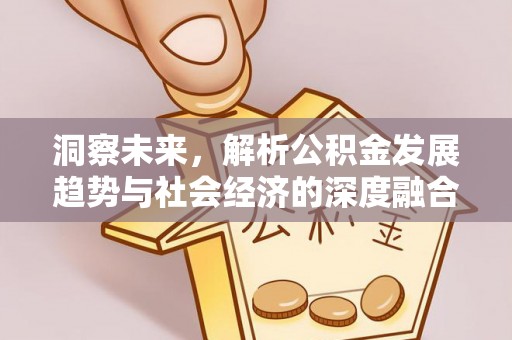 龙游洞察未来，解析公积金发展趋势与社会经济的深度融合