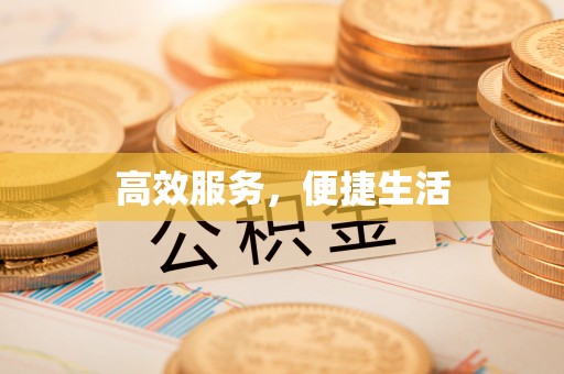龙游高效服务，便捷生活