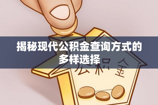 龙游揭秘现代公积金查询方式的多样选择