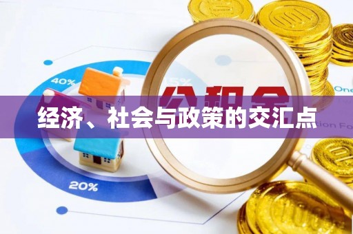 龙游经济、社会与政策的交汇点