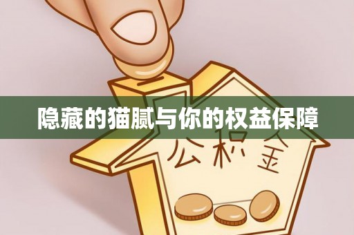 龙游隐藏的猫腻与你的权益保障
