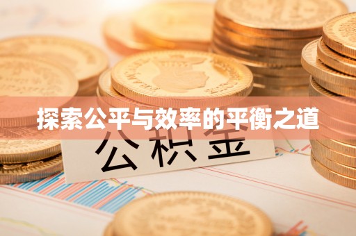 龙游探索公平与效率的平衡之道