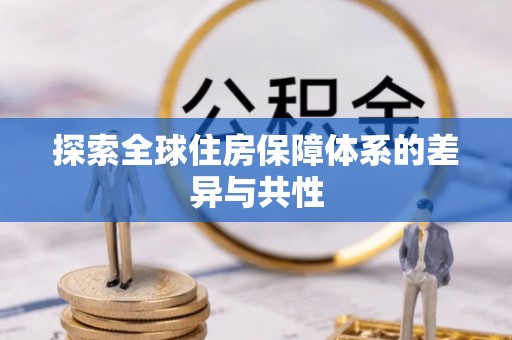 龙游探索全球住房保障体系的差异与共性