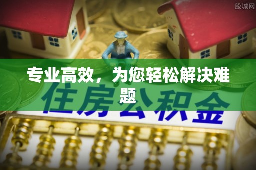 龙游专业高效，为您轻松解决难题