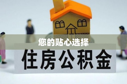 龙游您的贴心选择