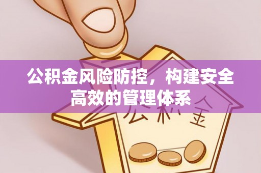 龙游公积金风险防控，构建安全高效的管理体系
