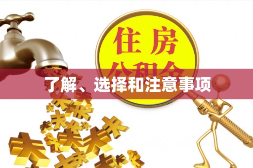 龙游了解、选择和注意事项
