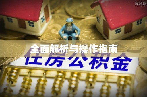 龙游全面解析与操作指南