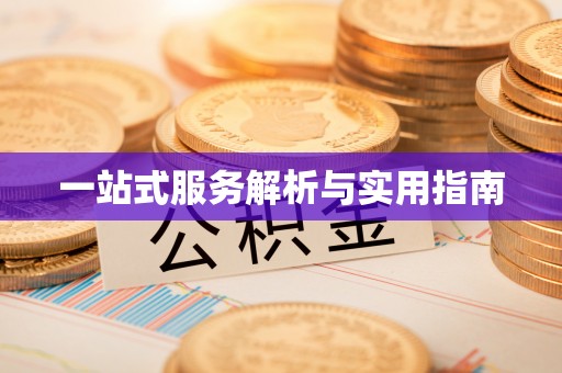 龙游一站式服务解析与实用指南