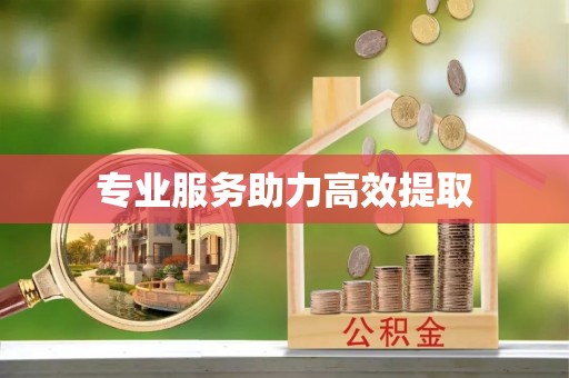 龙游专业服务助力高效提取