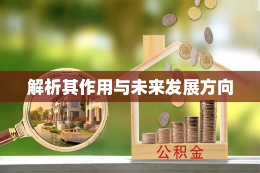 龙游解析其作用与未来发展方向