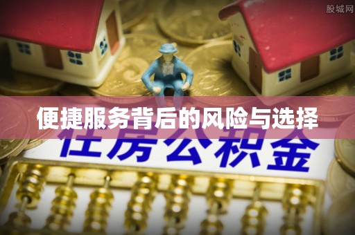 龙游便捷服务背后的风险与选择