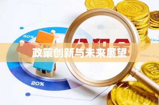 龙游政策创新与未来展望