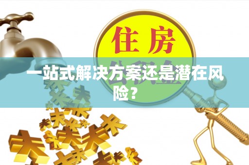 龙游一站式解决方案还是潜在风险？