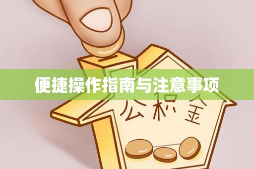 龙游便捷操作指南与注意事项