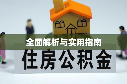 龙游全面解析与实用指南