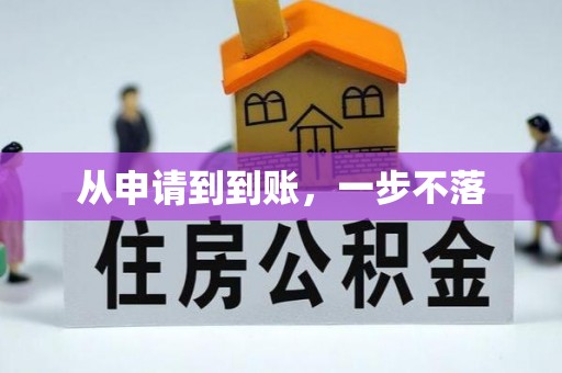 龙游从申请到到账，一步不落