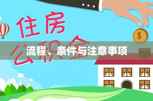 龙游流程、条件与注意事项
